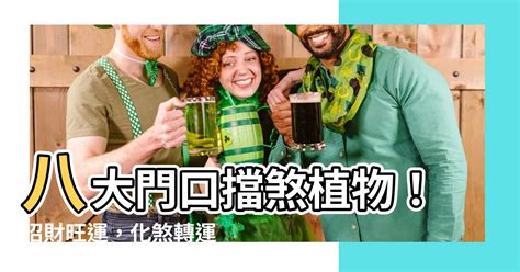 路沖擋煞植物|【風水特輯】化煞開運就靠它們！玄關、客廳、廚房、。